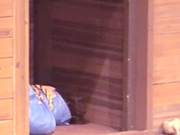 画像:ハイライト2